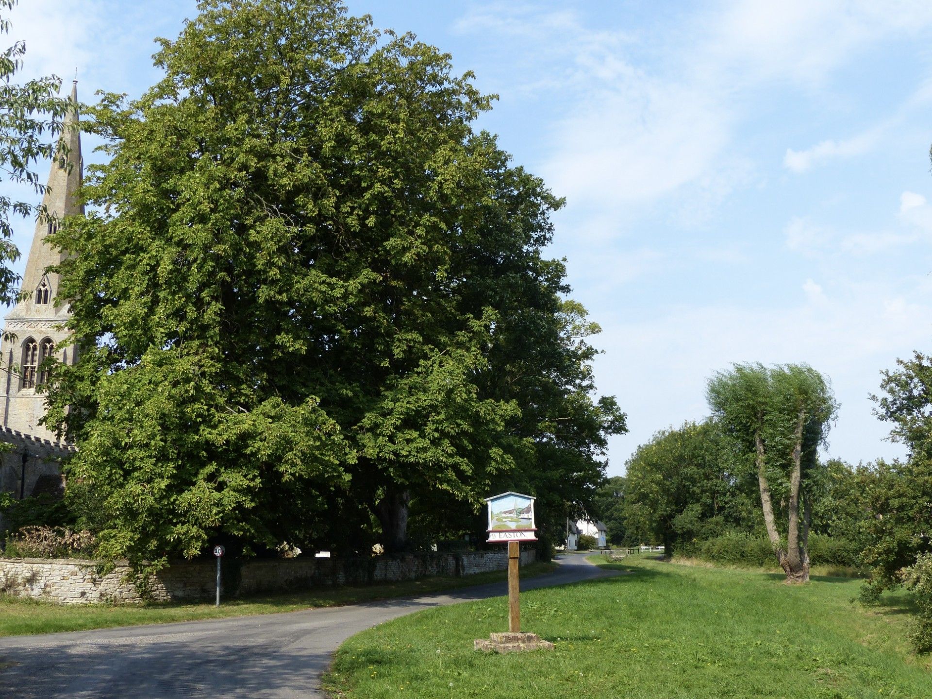 A view of the church and large tree at Easton